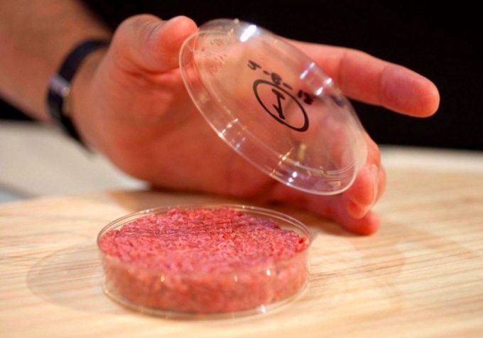 Se pide la intervención de la Casa Blanca para poder regular la producción y comercialización de la carne de laboratorio