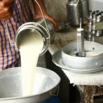 Cuidado con la leche cruda, se trata de un alimento vehícular de microorganismos patógenos