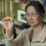 La elaboración de cerveza surgió antes de la agricultura