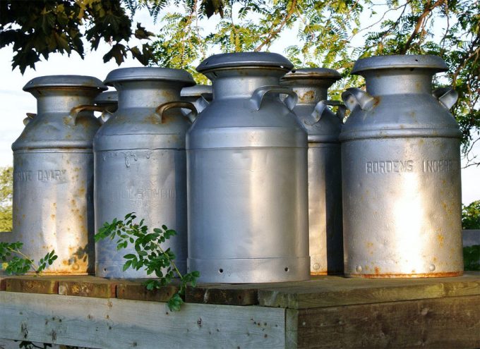 La mayoría de la leche y los productos lácteos de la India son adulterados Leche adulterada con pintura, detergente, aceites, glucosa, etc.