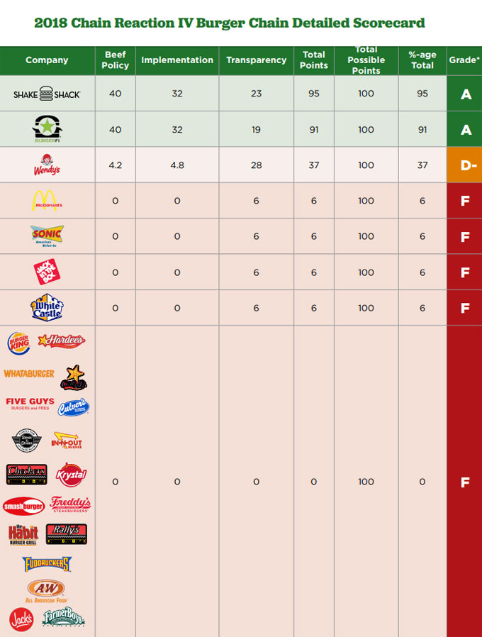 Informe Chain Reaction IV