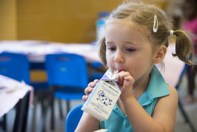 Alimentos ricos en calcio