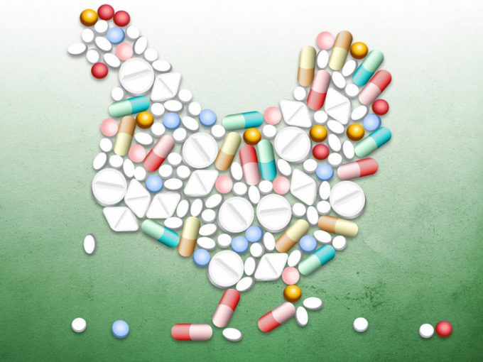 Uso de medicamentos con fines no terapéuticos en animales No utilizar antibióticos en animales si no es necesario