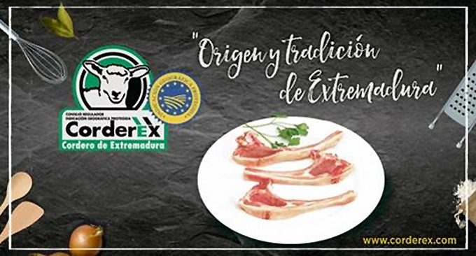 Cordero de Extremadura