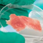 Carne producida por cultivo de células