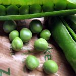 Impacto medioambiental de los cultivos ecológicos