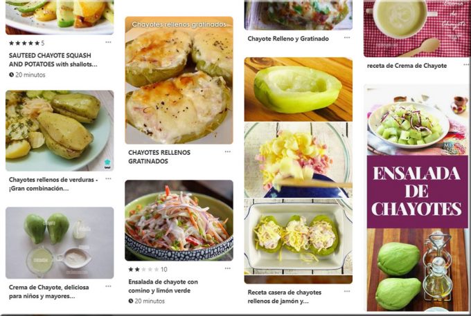 Recetas con chayote