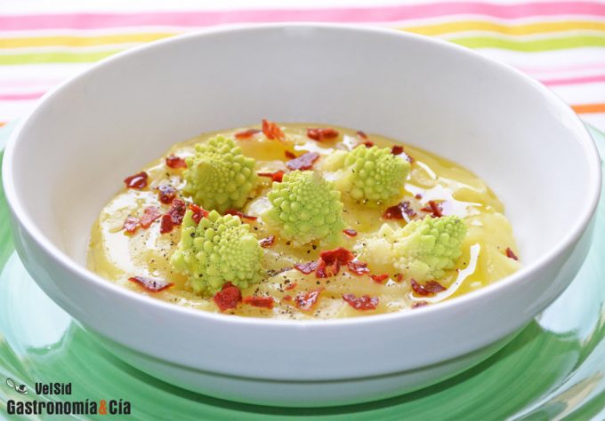 12 recetas sanas y ligeras con 12 verduras de temporada para quien disfruta de la variedad Recetas con verduras