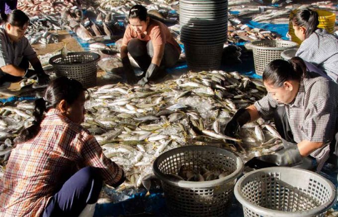 Pesca ilegal no declarada y no reglamentada