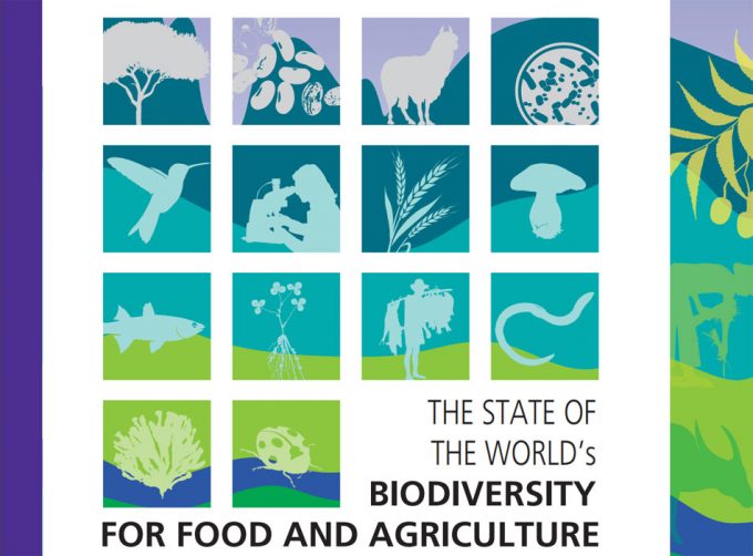 Seguridad alimentaria y biodiversidad