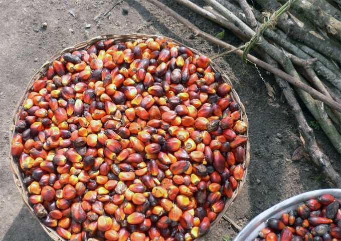 Alimentos con aceite de palma y su impacto ambiental