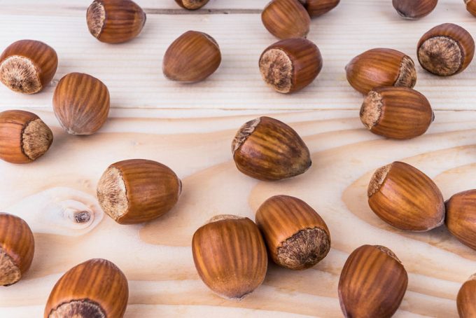 Trabajo esclavo en los campos de avellanos