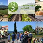 Actividades enoturísticas en el Penedés