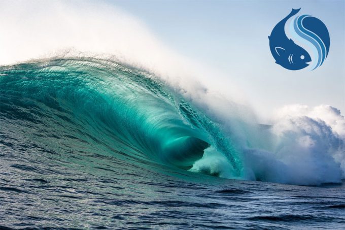 Producción de pescado a partir de cultivo celular