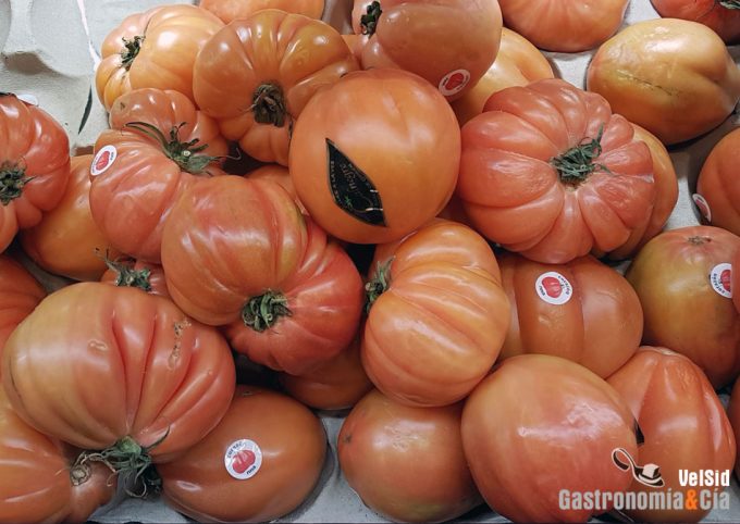 Pangenoma del tomate