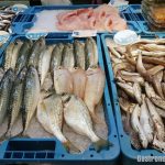 Pescado y marisco procedente de cultivo celular