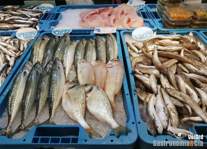 Pescado y marisco procedente de cultivo celular 