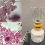 Vida útil de la leche