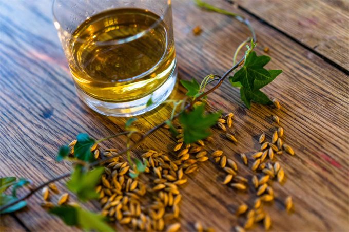 Destilería Mackmyra Whisky sueco