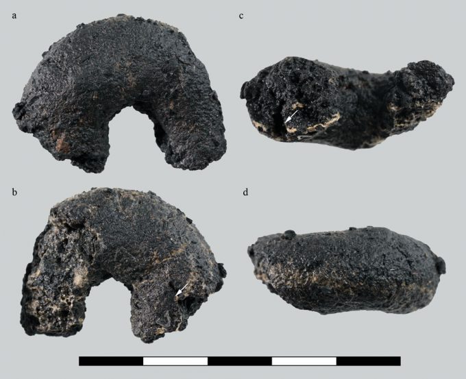 Alimentos de la antigüedad