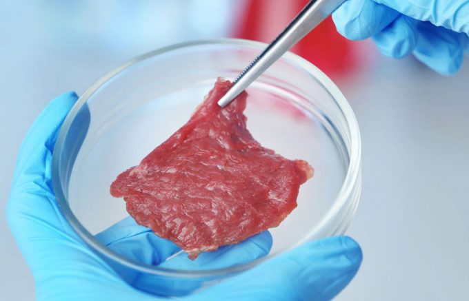 Carne de cultivo celular en 3D