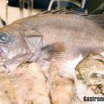 Carne de pescado de origen vegetal