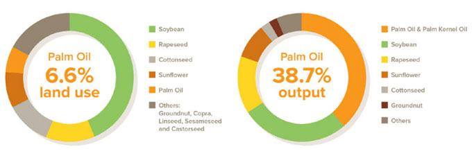 Rendimiento del aceite de palma
