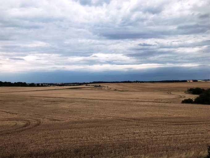 La PAC no favorece el cumplimiento de los Objetivos de Desarrollo Sostenible