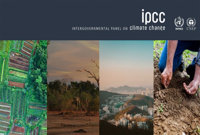 La carne es un alimento poco sostenible