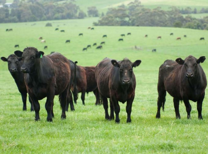 Nuevo informe del Grupo Intergubernamental de Expertos sobre el Cambio Climático 