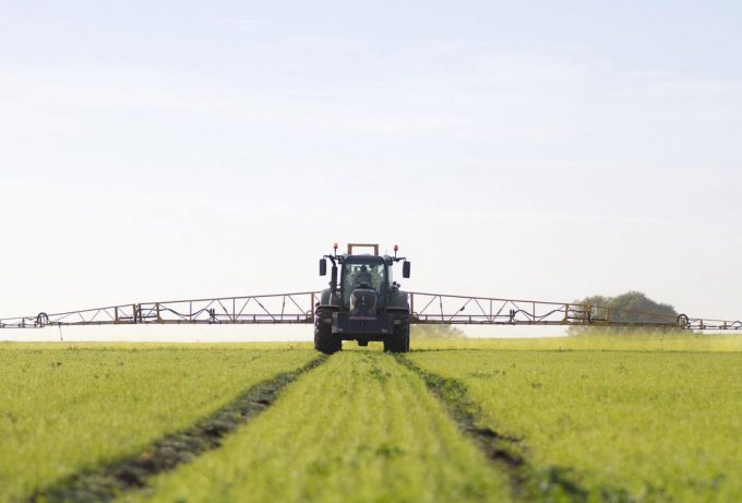 La EFSA no avala el clorpirifós