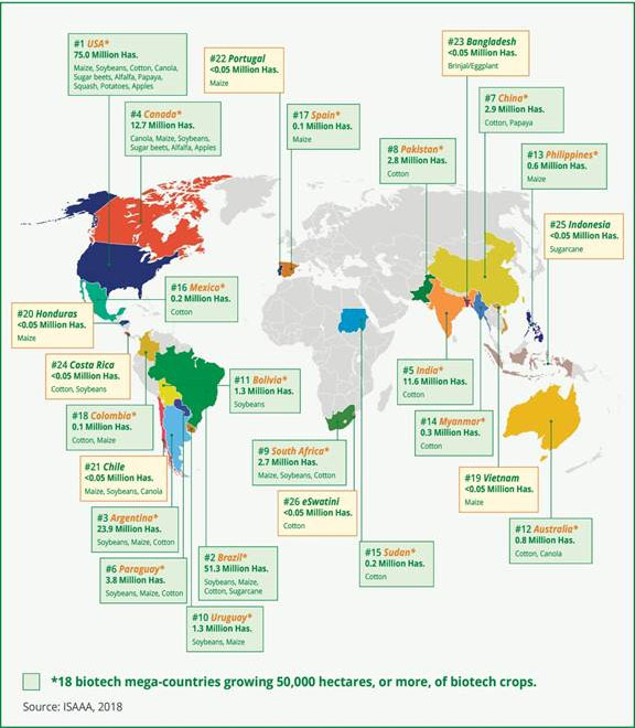 Países productores de alimentos transgénicos