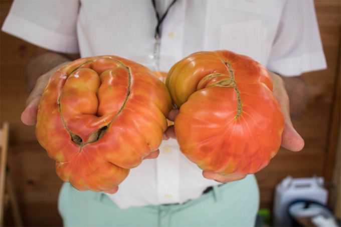 Mercado de productos de la Comunidad de Madrid