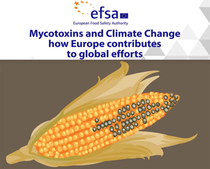 Aflatoxinas en los alimentos