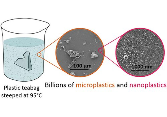 Una bolsa de té libera miles de millones de partículas de microplástico,  según un estudio