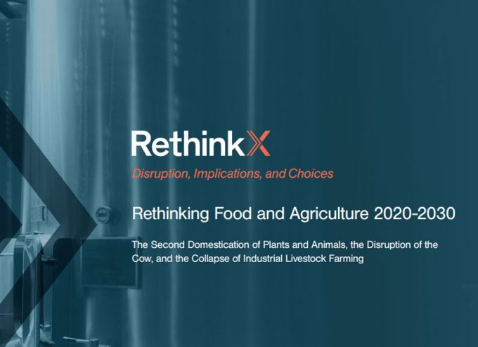 Informe RethinkX sobre la producción ganadera y lechera para las próximas décadas