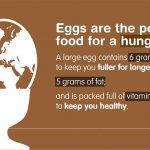 World Egg Day