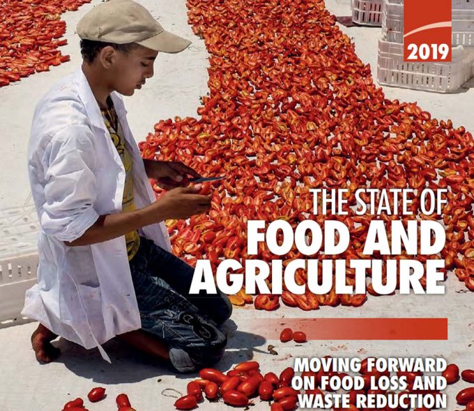 Lucha contra la pérdida y el desperdicio de alimentos
