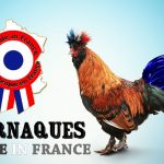 Mentiras en el origen de los productos alimenticios