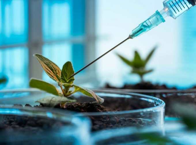 Food & Drink Trends 2030 de Mintel