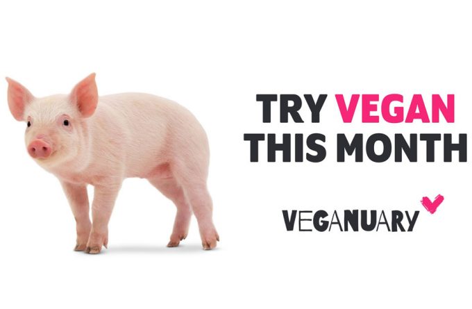 Iniciarse en la dieta vegana en el mes de enero