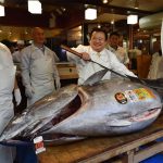 Mercado de Pescado de Toyosu (Japón)
