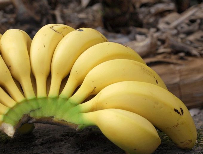 Conservar plátanos sin que se pongan negros