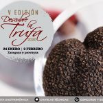 Zaragoza y provincia