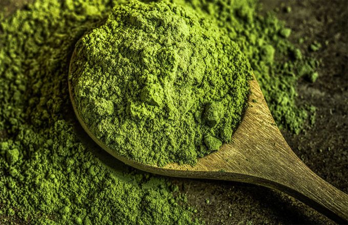 Formas bioactivas de la vitamina B12