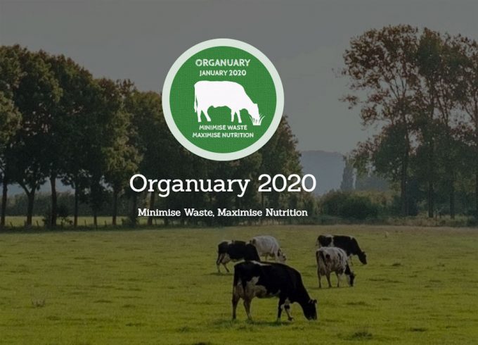 Promoción del consumo de despojos