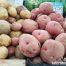Tipos de patata