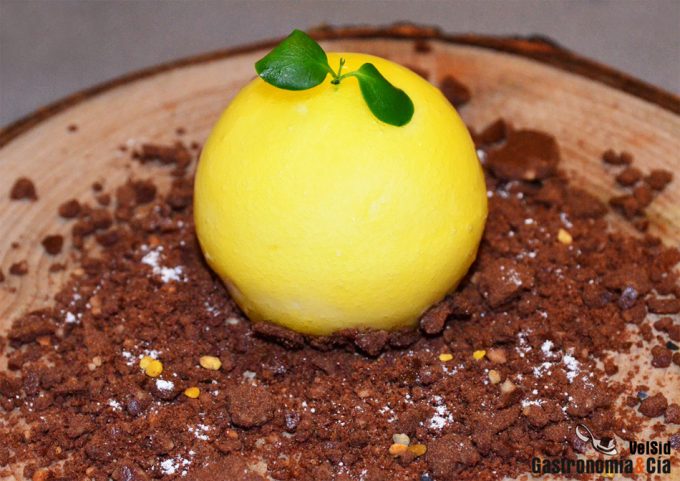 Qué es tierra en repostería