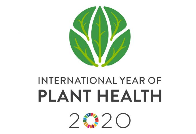 International Year of Plant Health