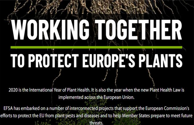 WORKING TOGETHER TO PROTECT EUROPE'S PLANTS